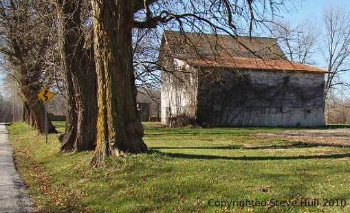 Old barn and large trees