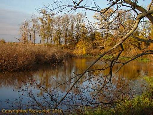 Wetlands in Autumn near Greenfield Indiana