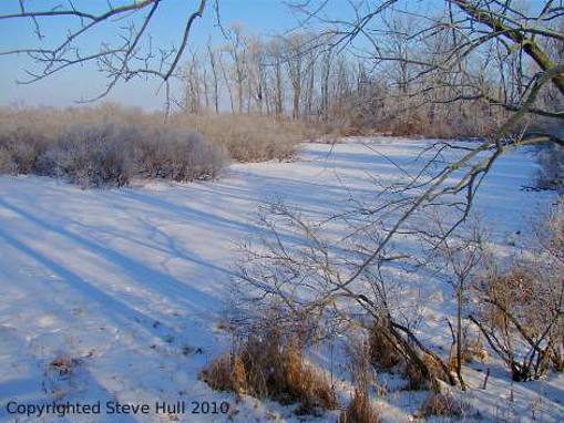 Wetlands in Winter near Greenfield Indiana